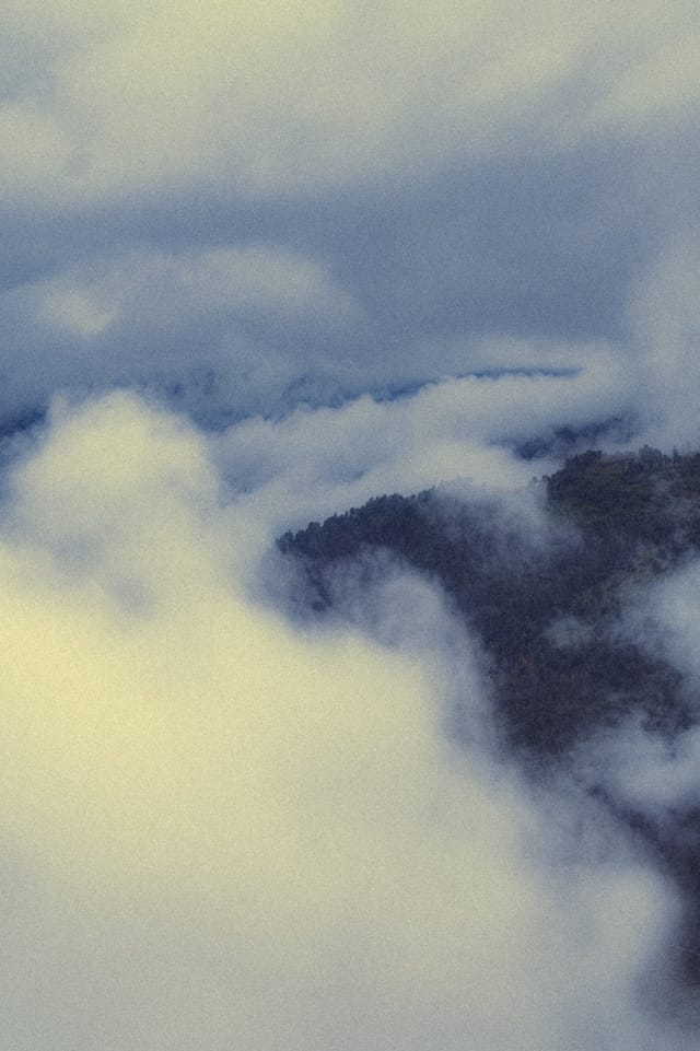 Trees emerging and receding through layers of mist, catalog number 34, from the Fog-Shrouded Trees series