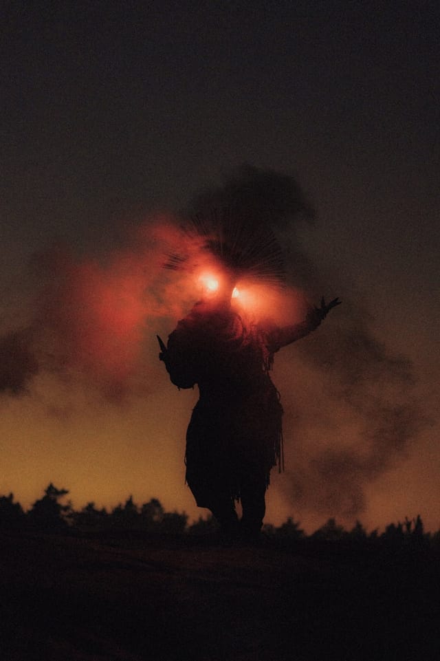 Selected work from the Fire Bird series, catalog number 2