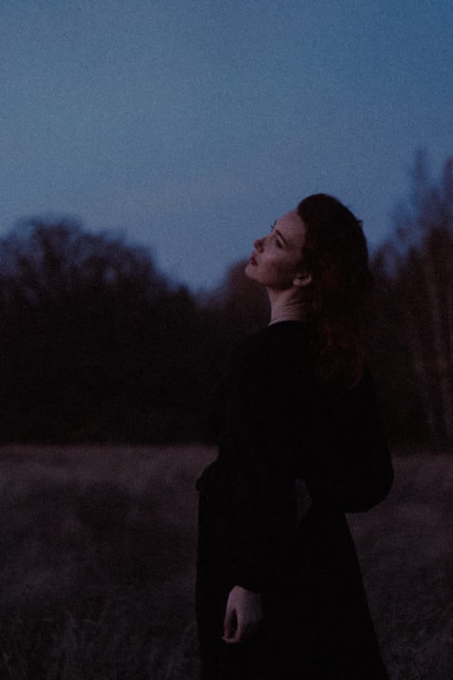 A portrait held against the day's last colour and gathering darkness, catalog number 16, from the Twilight Portraits series