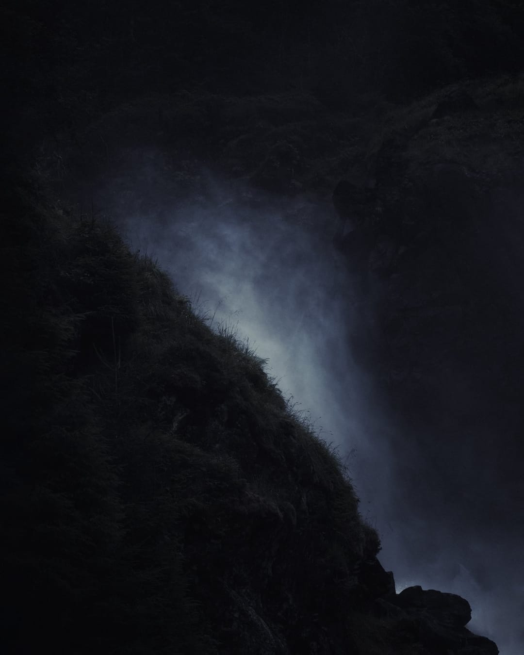 Trees emerging and receding through layers of mist, catalog number 37, from the Fog-Shrouded Trees series
