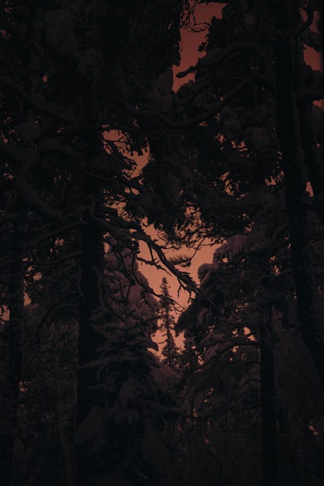 Low light across a darkened landscape and sky, catalog number 3, from The Quiet Dark collection