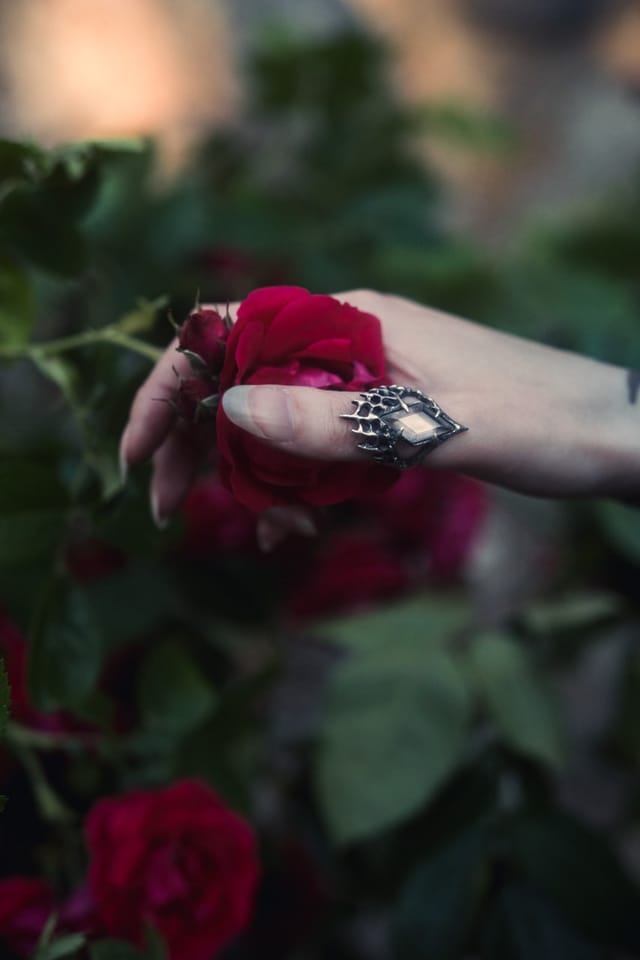 Fashion and jewellery photograph 11 from Sebastian Nordanvind's The Dark Maiden & Taxil Hoax series