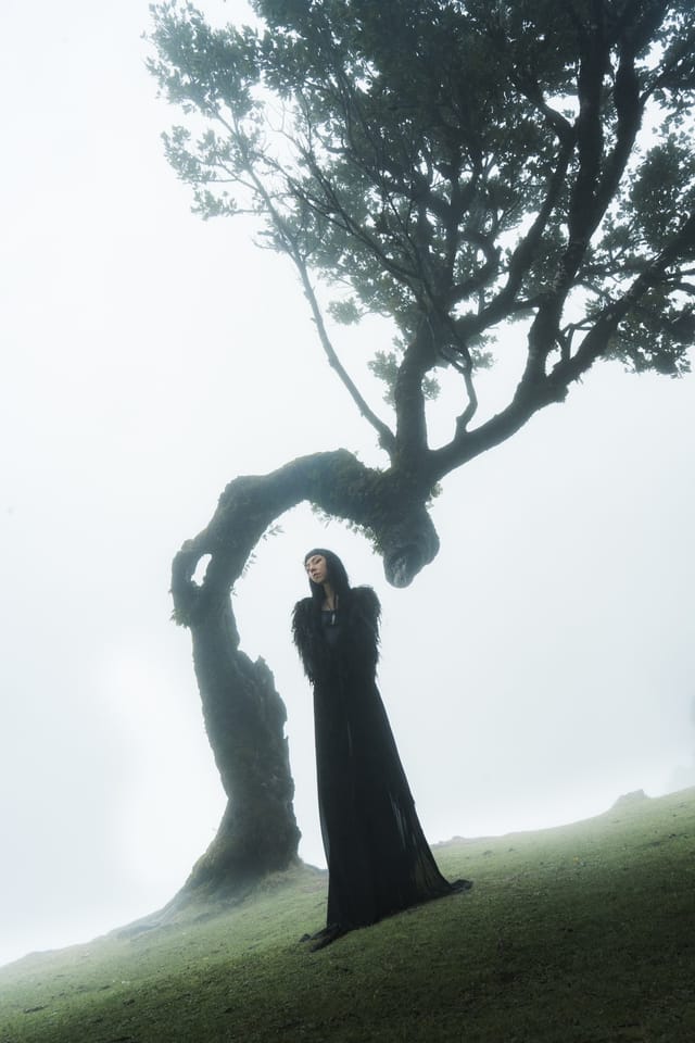 Jewellery photograph 2 from Sebastian Nordanvind's Thorn & Claw – Madeira series