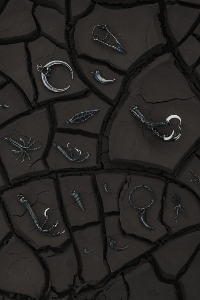 Jewellery photograph 8 from Sebastian Nordanvind's Thorn & Claw – Madeira series