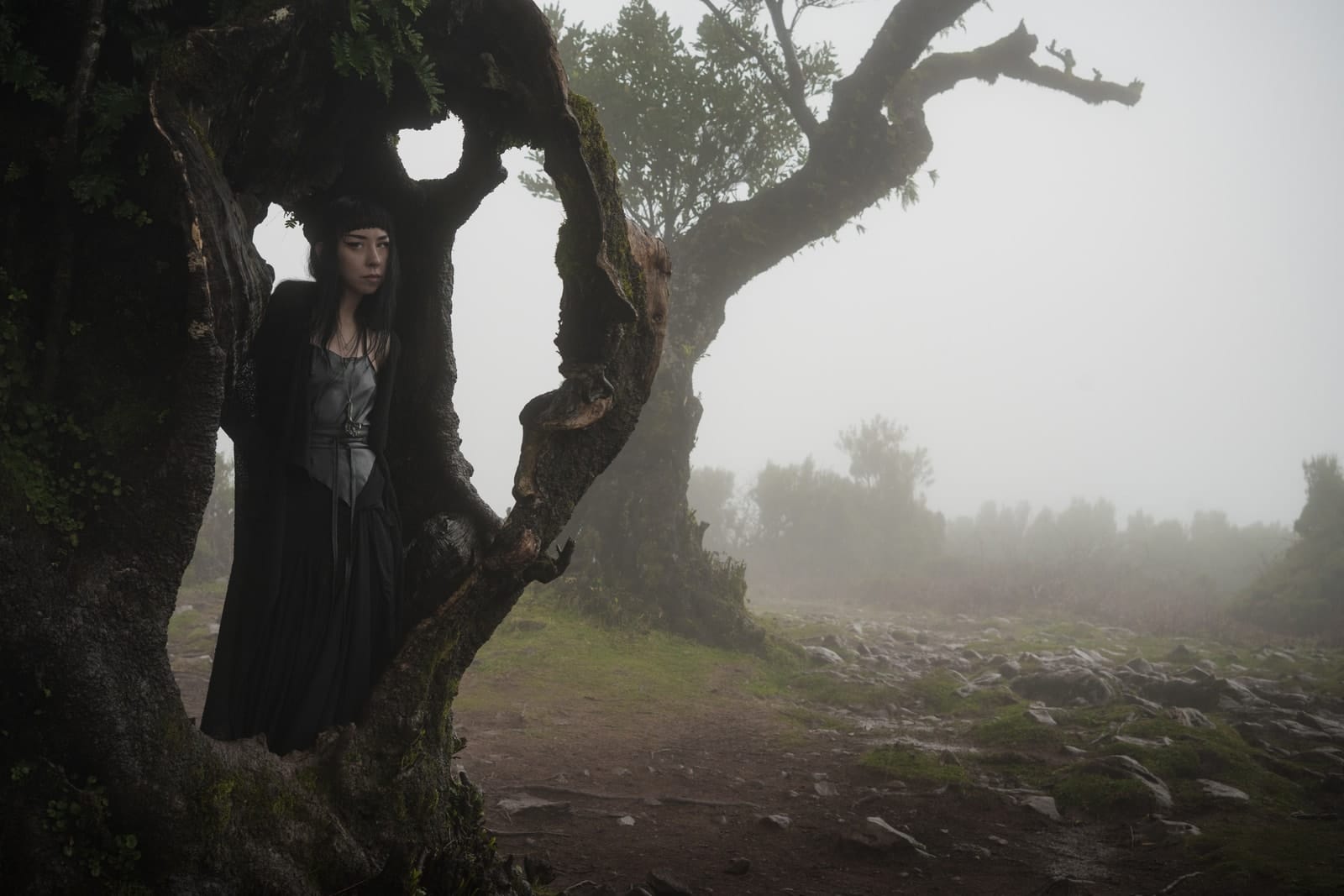 Jewellery photograph 22 from Sebastian Nordanvind's Thorn & Claw – Madeira series