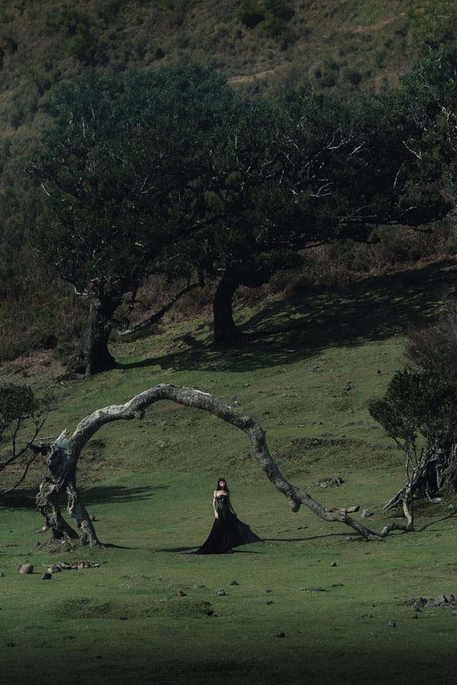 Jewellery photograph 34 from Sebastian Nordanvind's Thorn & Claw – Madeira series