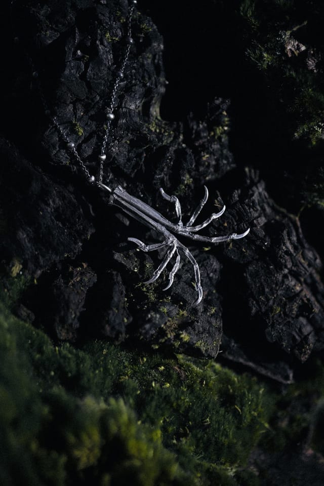Jewellery photograph 41 from Sebastian Nordanvind's Thorn & Claw – Madeira series