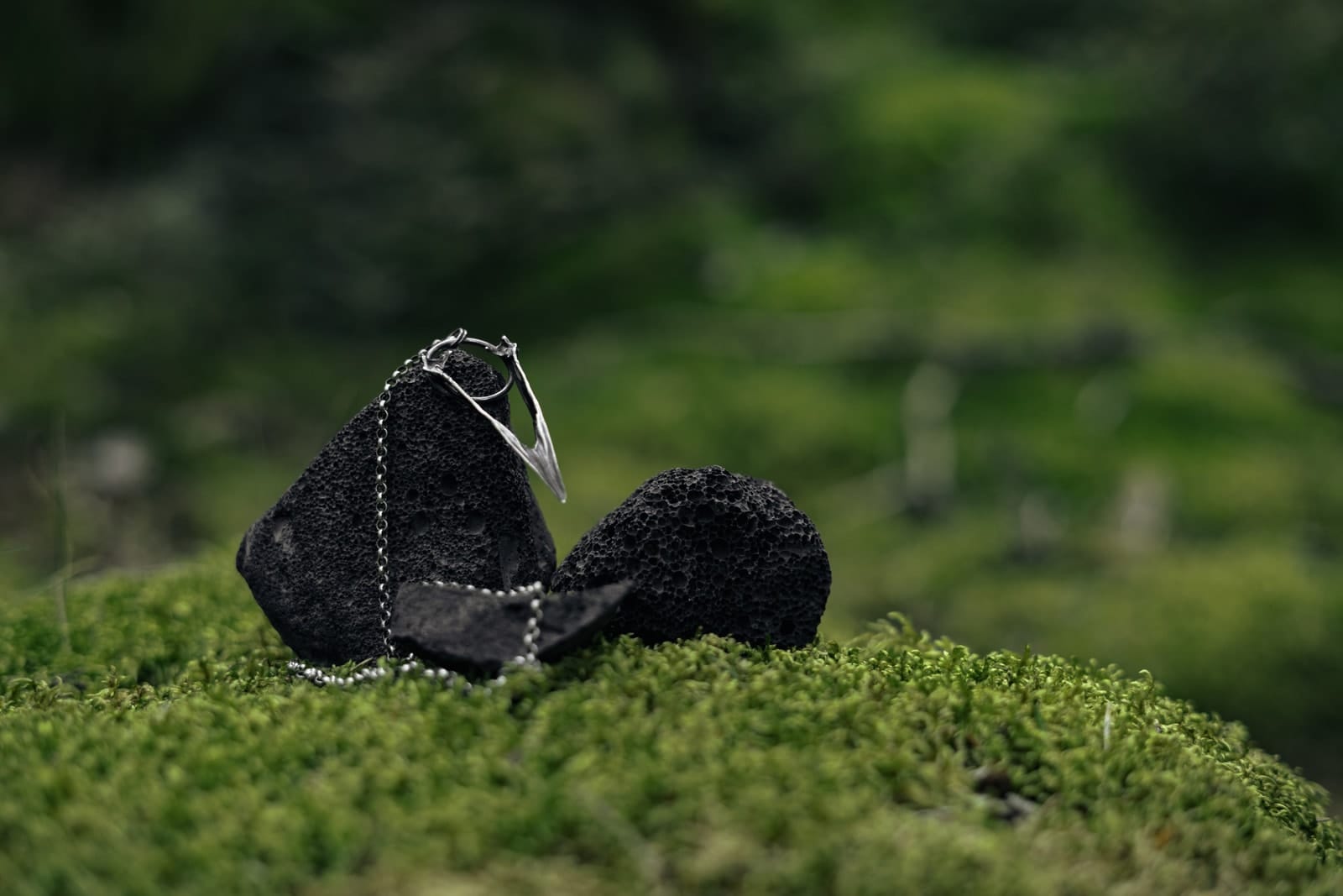 Jewellery photograph 3 from Sebastian Nordanvind's Thorn & Claw – Tyresta series