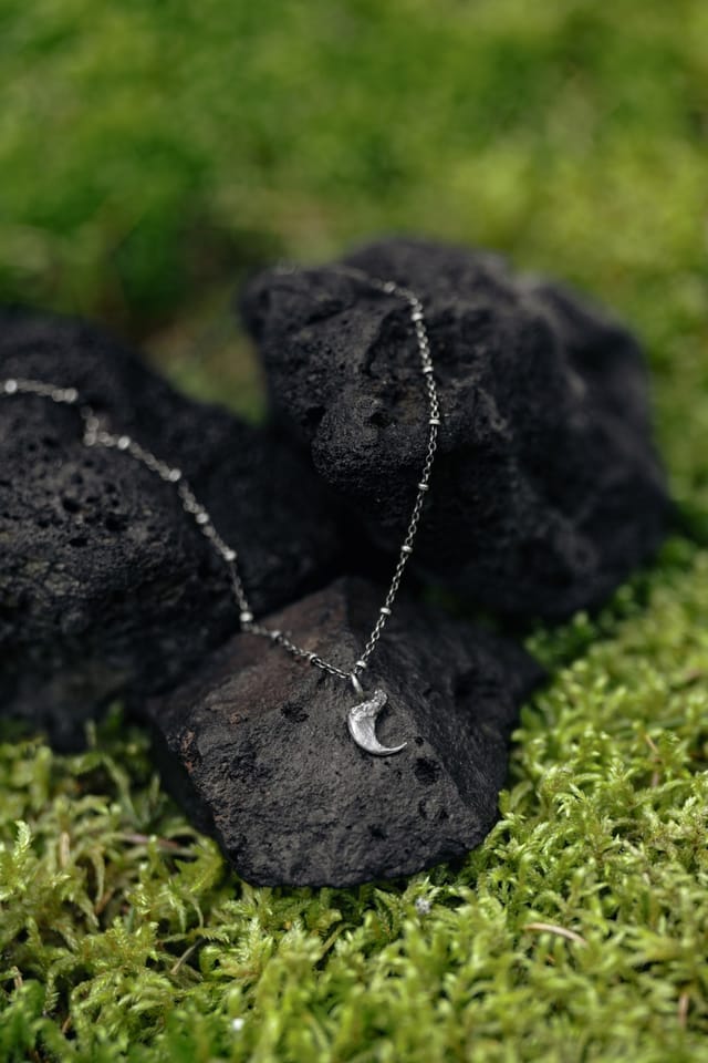 Jewellery photograph 7 from Sebastian Nordanvind's Thorn & Claw – Tyresta series