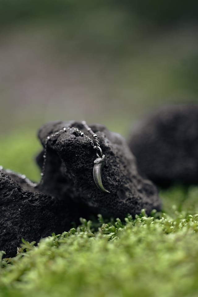 Jewellery photograph 9 from Sebastian Nordanvind's Thorn & Claw – Tyresta series