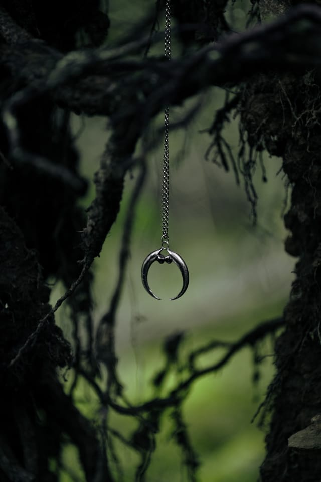 Jewellery photograph 12 from Sebastian Nordanvind's Thorn & Claw – Tyresta series