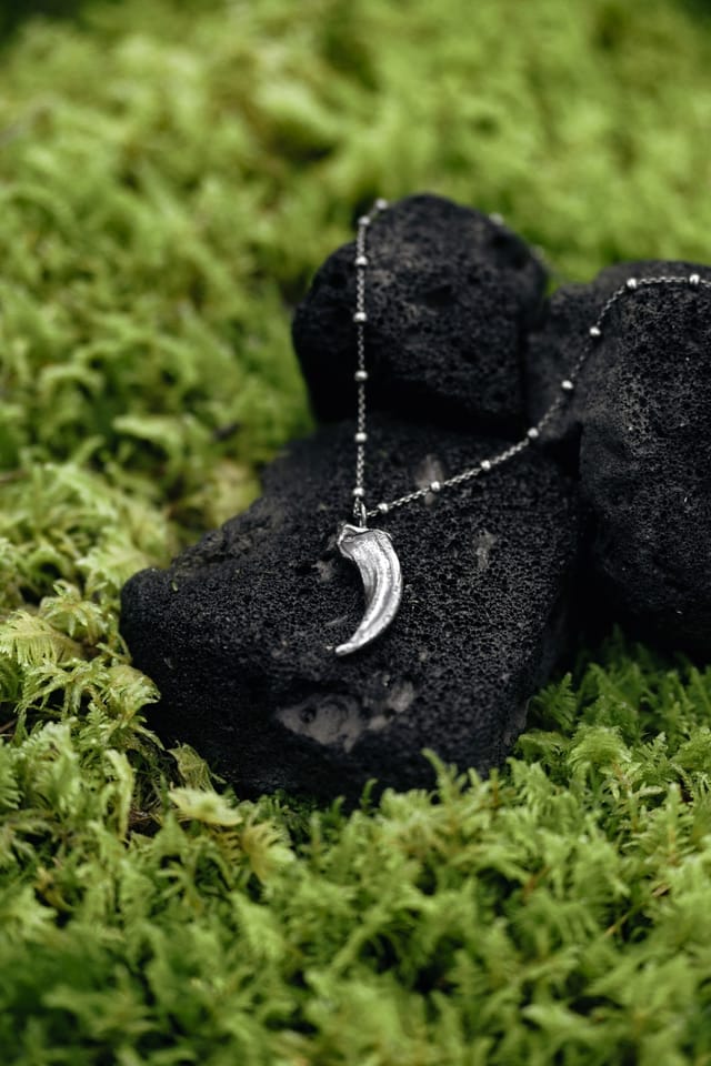 Jewellery photograph 17 from Sebastian Nordanvind's Thorn & Claw – Tyresta series