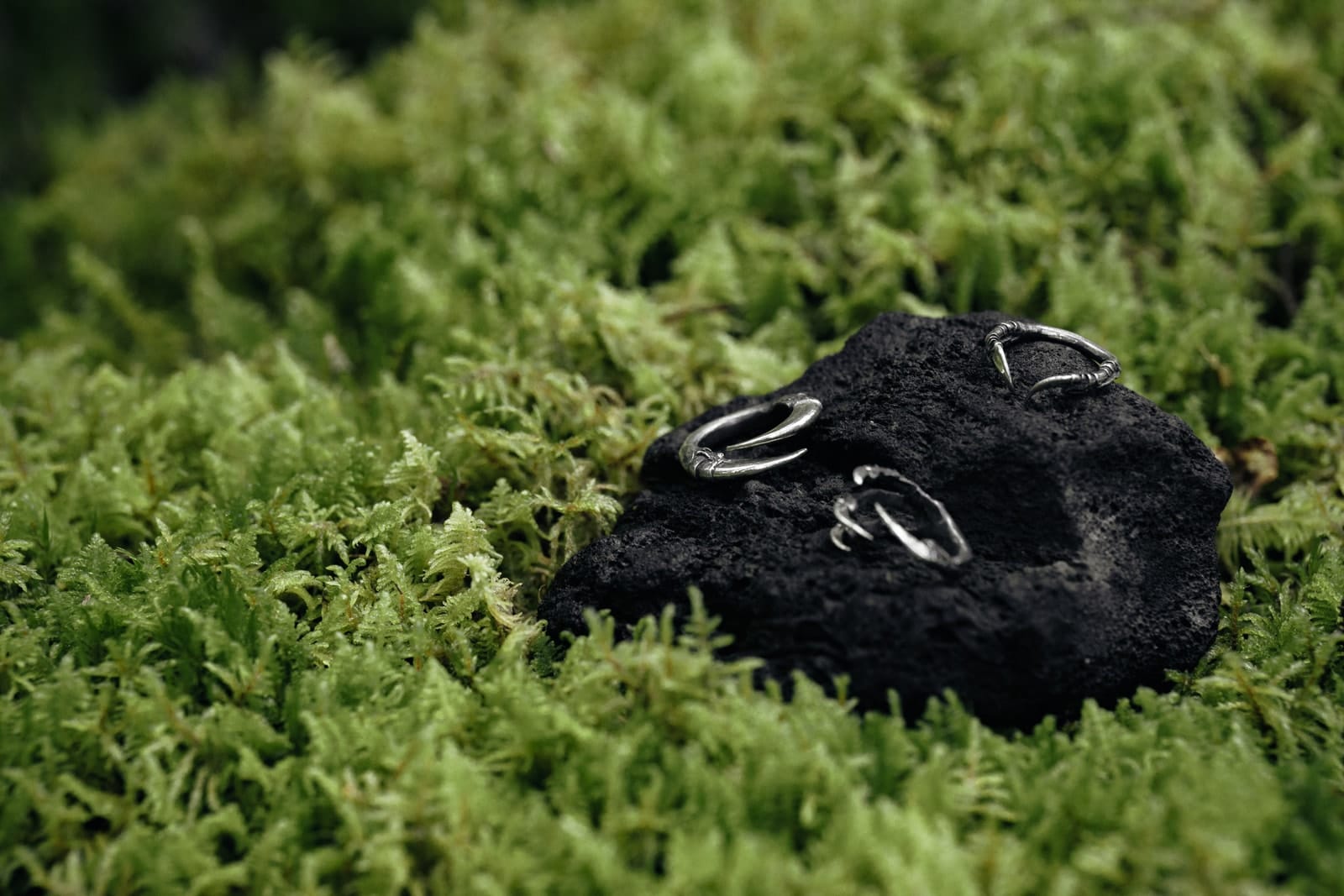 Jewellery photograph 21 from Sebastian Nordanvind's Thorn & Claw – Tyresta series