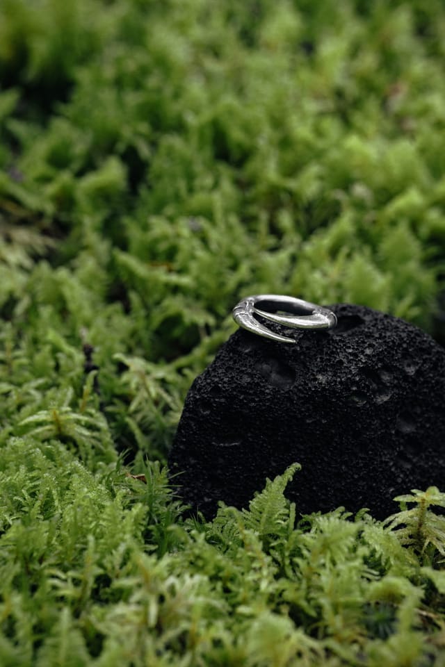 Jewellery photograph 22 from Sebastian Nordanvind's Thorn & Claw – Tyresta series
