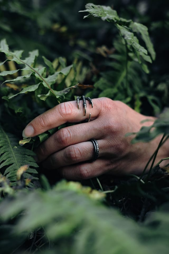 Jewellery photograph 3 from Sebastian Nordanvind's Thorn & Claw – Vargavindar series