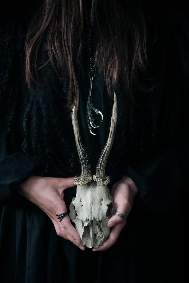 Jewellery photograph 4 from Sebastian Nordanvind's Thorn & Claw – Vargavindar series