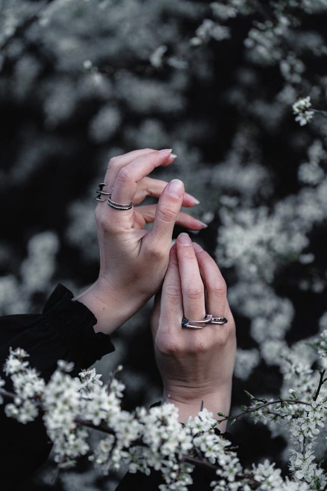 Jewellery photograph 9 from Sebastian Nordanvind's Thorn & Claw – Vargavindar series