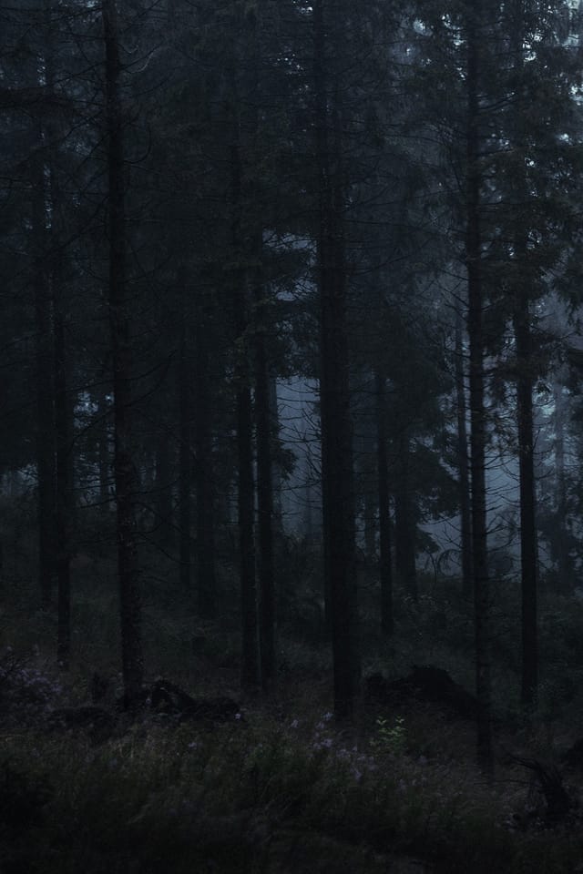 Selected work 8 from Sebastian Nordanvind's Hidden Realms series