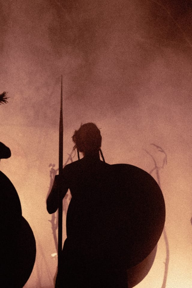 Selected work 12 from Sebastian Nordanvind's Heilung series