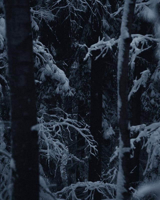 Selected work 31 from Sebastian Nordanvind's Selected Works series
