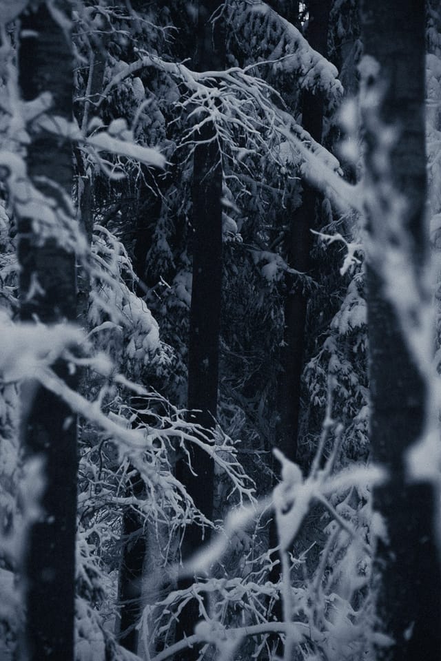 Selected work 9 from Sebastian Nordanvind's Winter Mysteries series