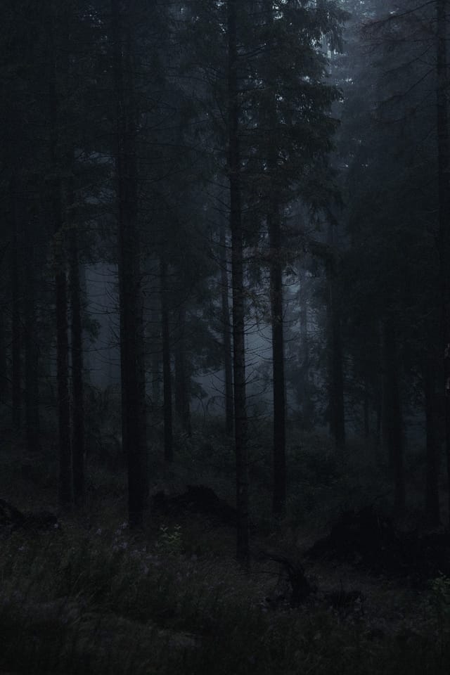 Selected work 25 from Sebastian Nordanvind's Selected Works series