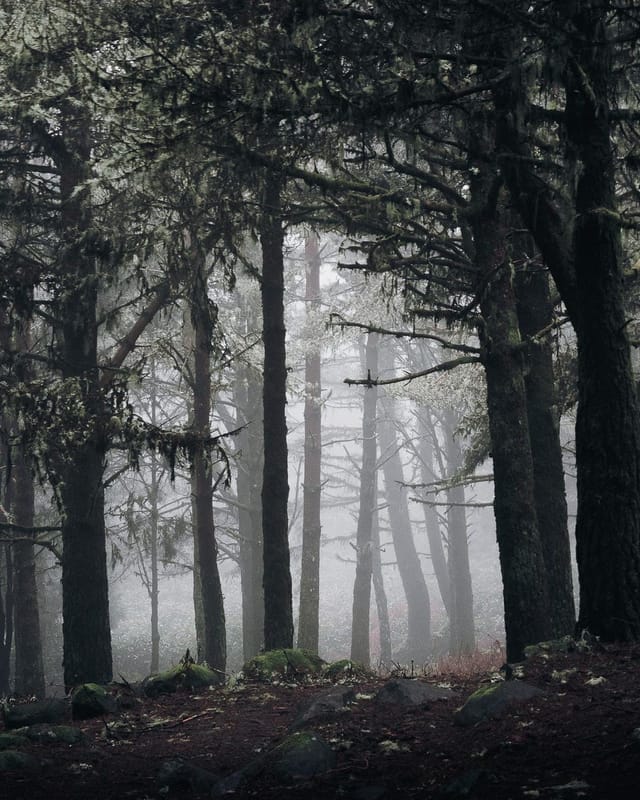 Selected work 7 from Sebastian Nordanvind's Selected Works series