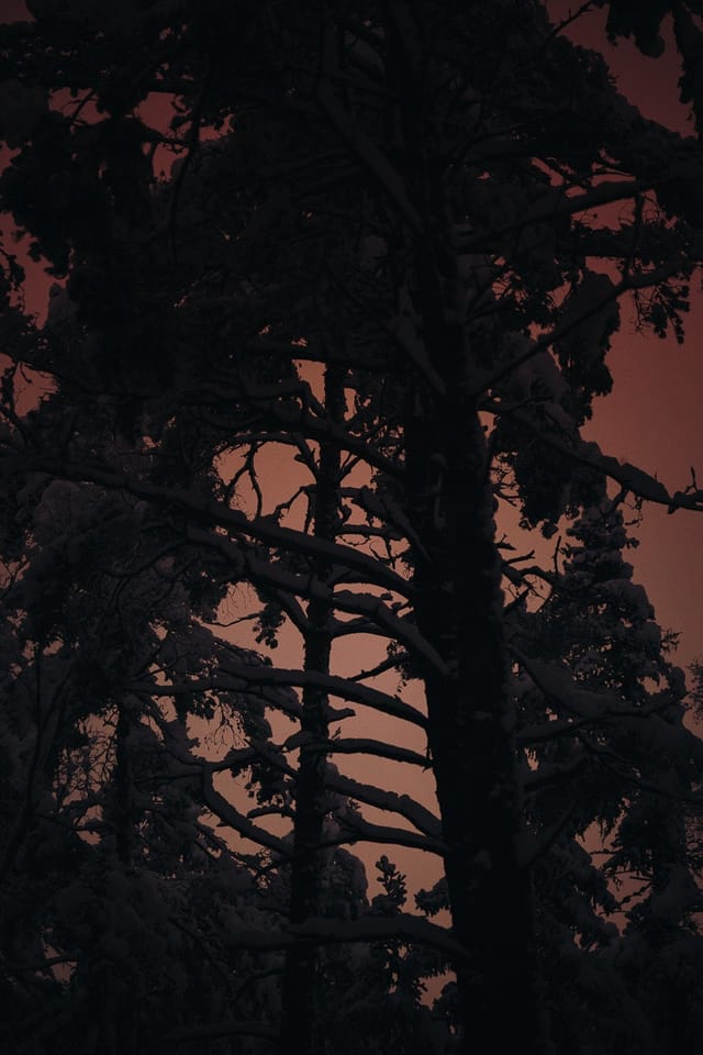 Selected work 4 from Sebastian Nordanvind's Winter Mysteries series