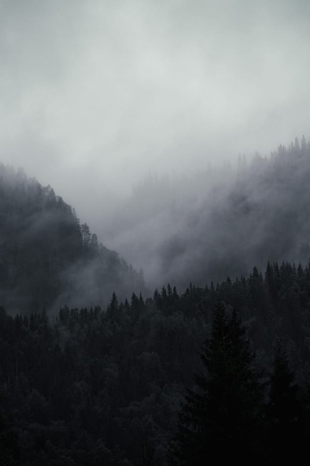 Selected work 20 from Sebastian Nordanvind's Hidden Realms series