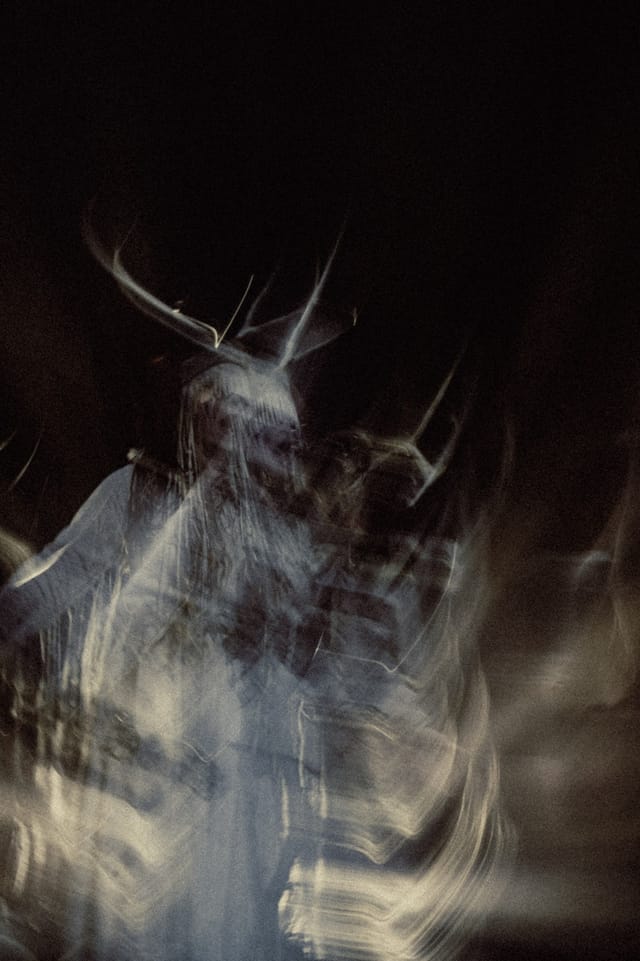 Selected work 21 from Sebastian Nordanvind's Heilung series