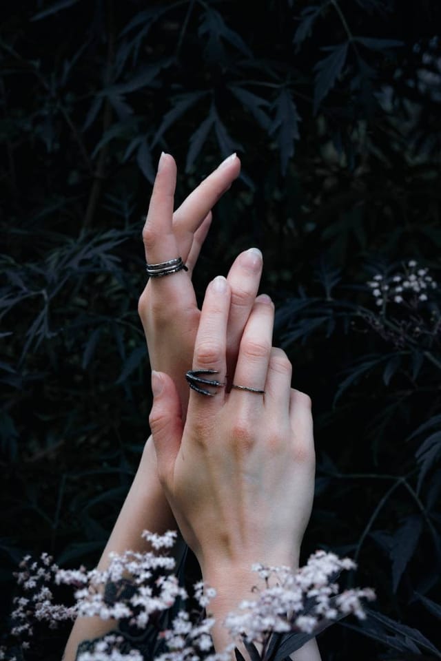 Selected work 2 from Sebastian Nordanvind's Thorn & Claw series