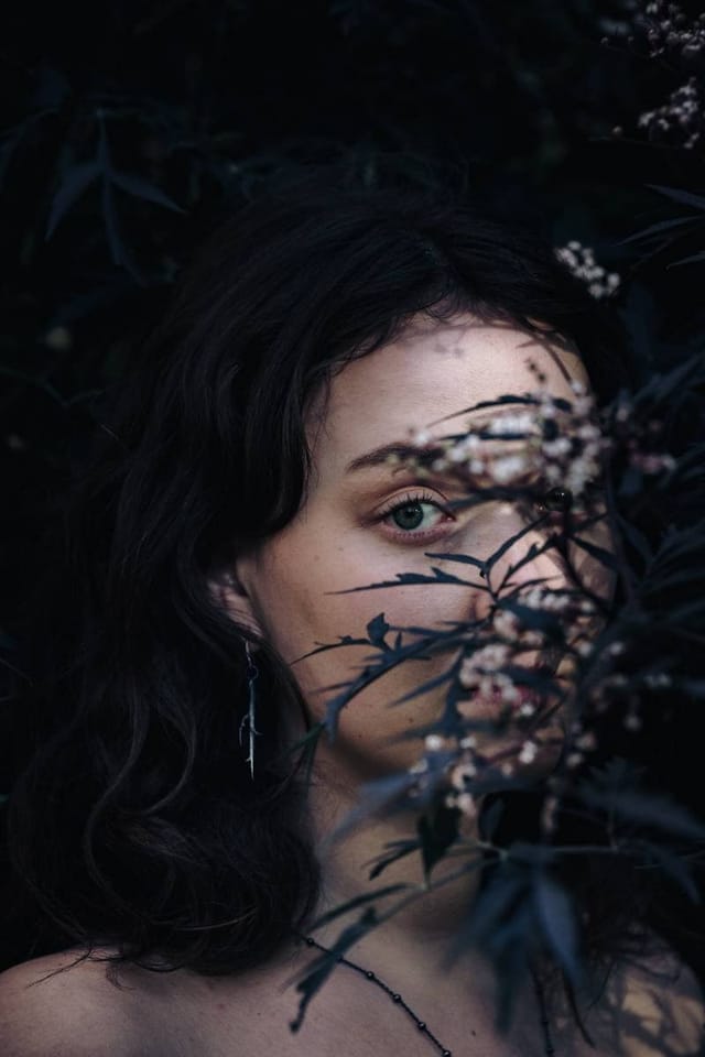 Selected work 5 from Sebastian Nordanvind's Thorn & Claw series