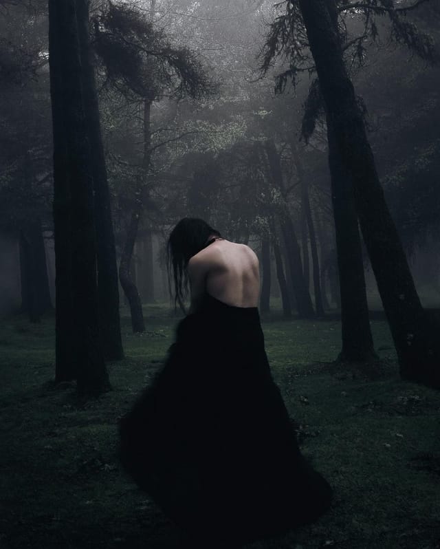 Selected work 10 from Sebastian Nordanvind's Selected Works series