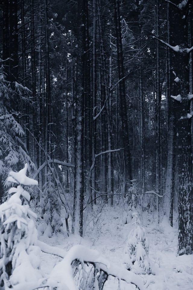 Selected work 15 from Sebastian Nordanvind's Winter Mysteries series