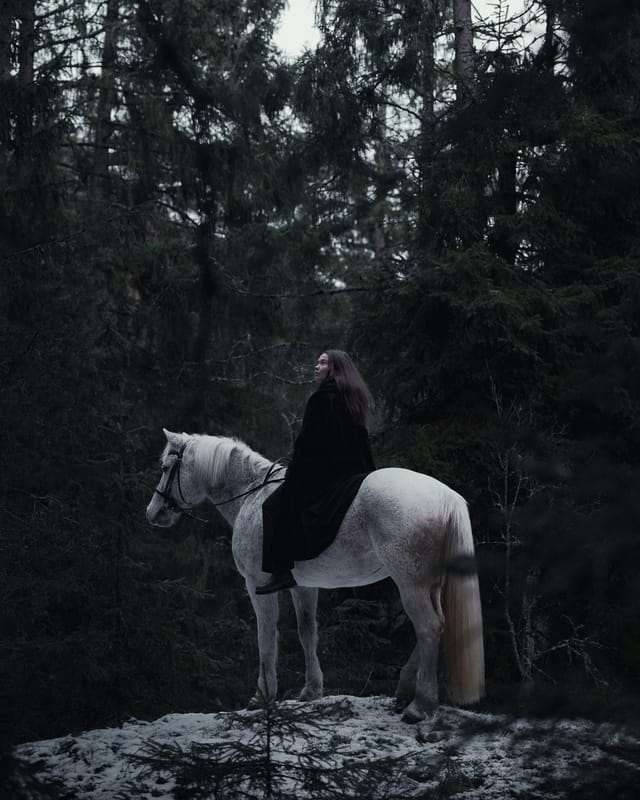 Selected work 10 from Sebastian Nordanvind's Gazes series