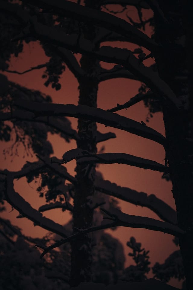 Selected work 16 from Sebastian Nordanvind's Winter Mysteries series
