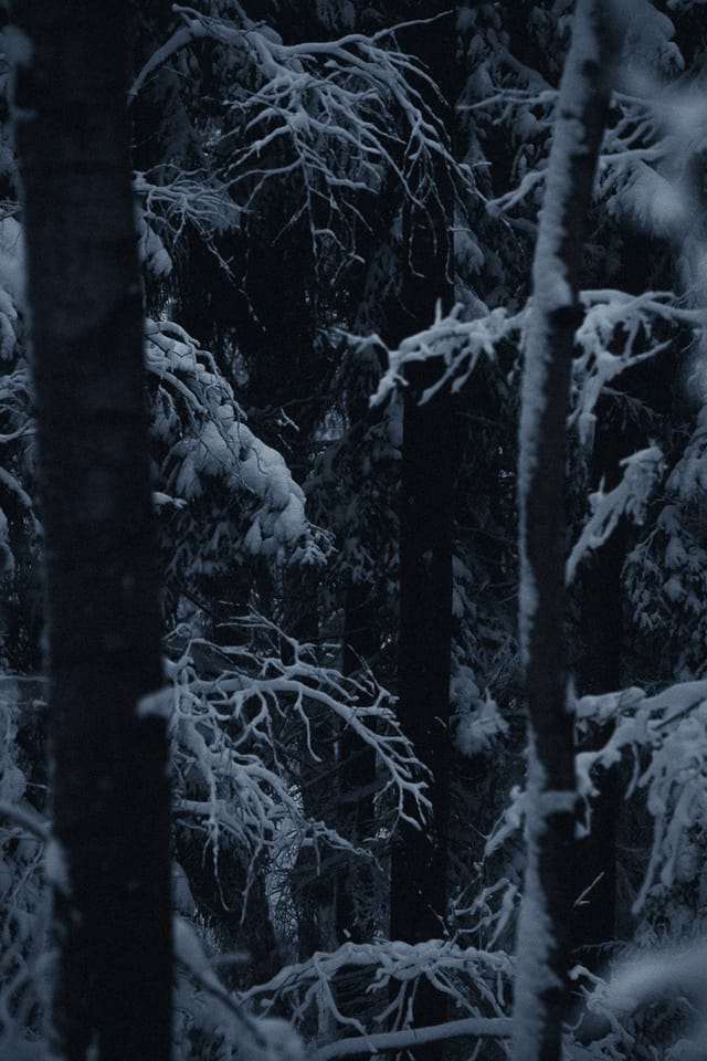 Selected work 3 from Sebastian Nordanvind's Winter Mysteries series