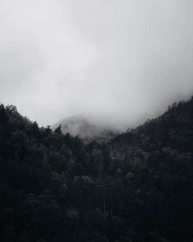 Selected work 44 from Sebastian Nordanvind's Selected Works series