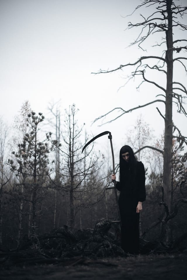Selected work 7 from Sebastian Nordanvind's Forest of Mourning series