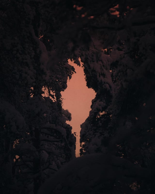 Utvalt verk 17 ur Sebastian Nordanvinds serie Winter Mysteries
