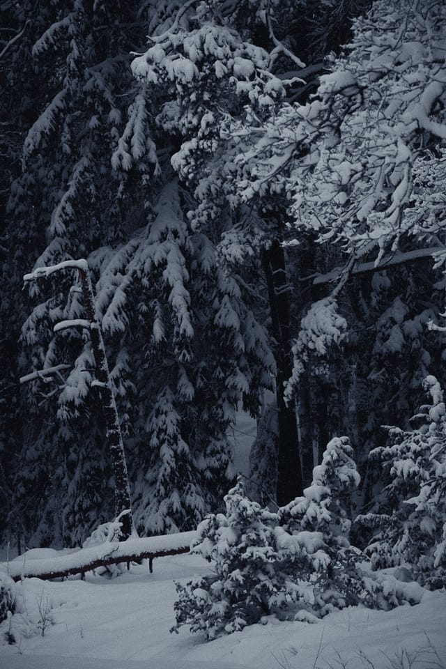 Selected work 12 from Sebastian Nordanvind's Winter Mysteries series