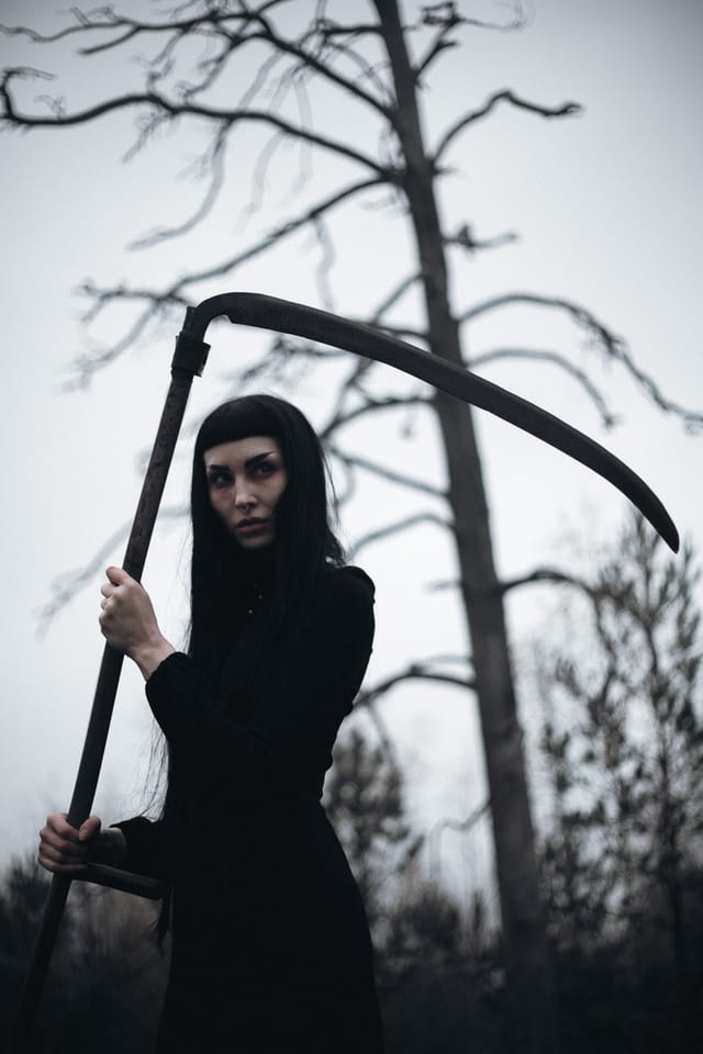 Utvalt verk 9 ur Sebastian Nordanvinds serie Forest of Mourning