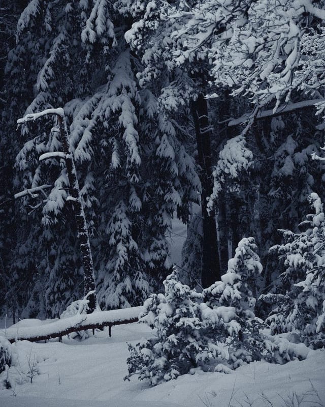 Selected work 19 from Sebastian Nordanvind's Selected Works series