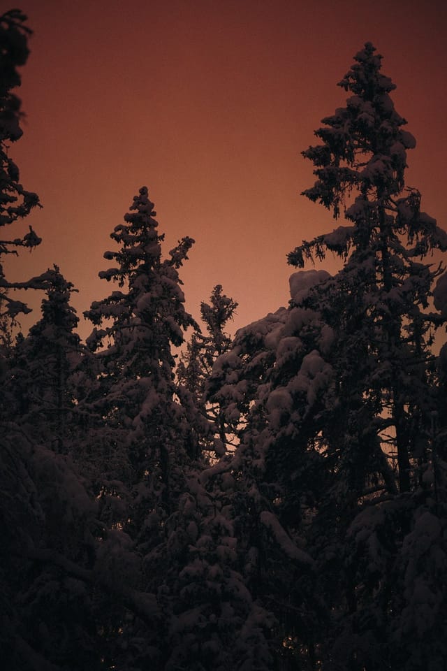 Selected work 5 from Sebastian Nordanvind's Winter Mysteries series