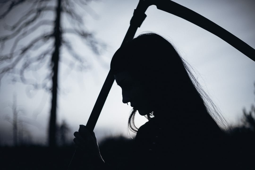 Selected work 3 from Sebastian Nordanvind's Forest of Mourning series