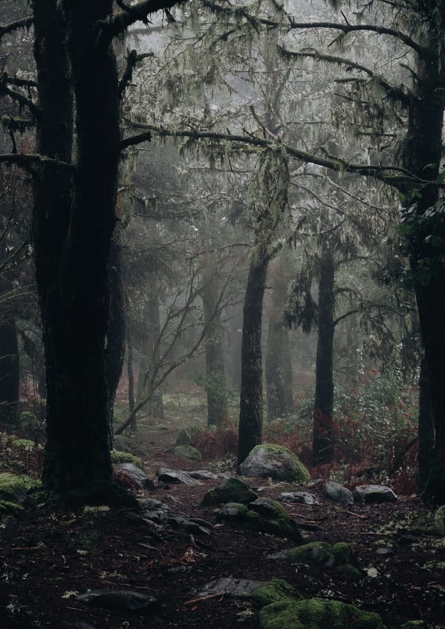 Selected work 13 from Sebastian Nordanvind's Selected Works series