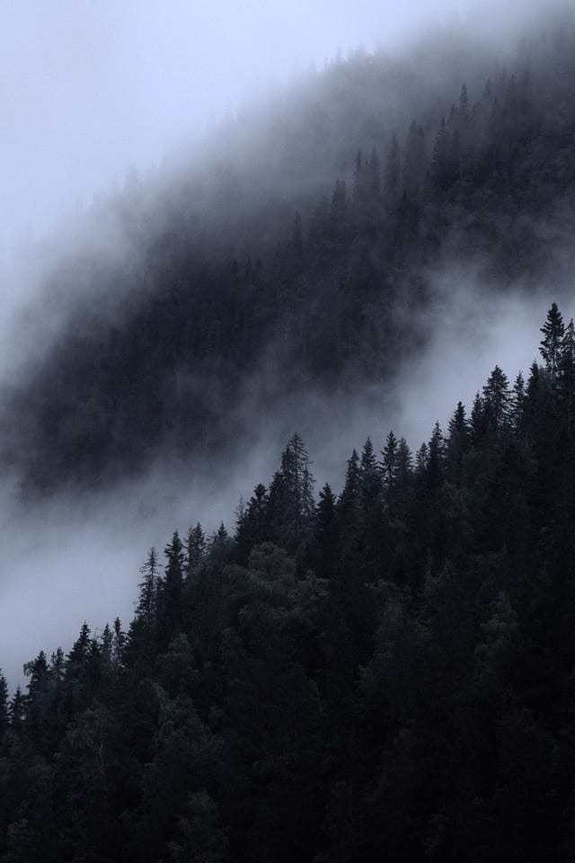 Selected work 1 from Sebastian Nordanvind's Hidden Realms series