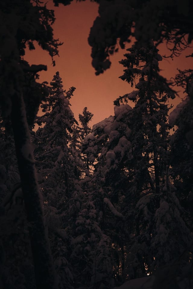 Selected work 11 from Sebastian Nordanvind's Winter Mysteries series