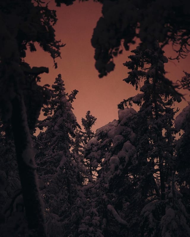 Selected work 34 from Sebastian Nordanvind's Selected Works series