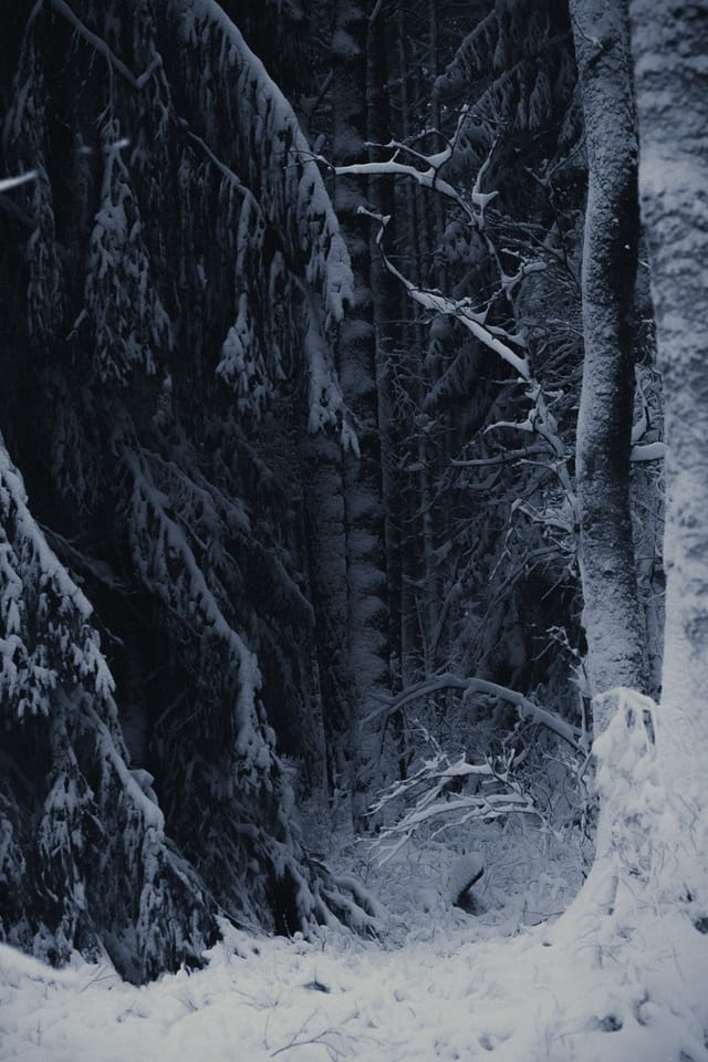 Utvalt verk 7 ur Sebastian Nordanvinds serie Winter Mysteries